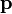 \bold{p}