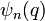 \psi_n(q)